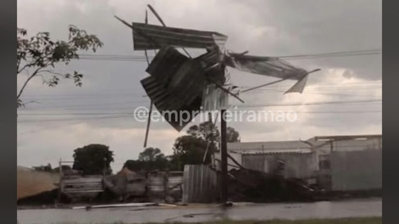Chuva forte provoca queda de árvores e arranca telhado de obra em Franca