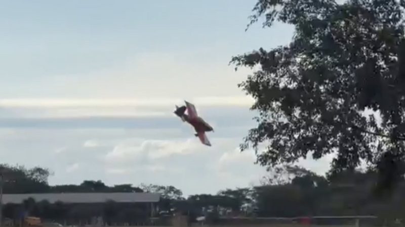 Vídeo mostra momento da queda de avião que matou duas pessoas em Orlândia