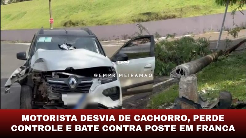 Motorista desvia de cachorro, perde controle e bate contra poste em Franca
