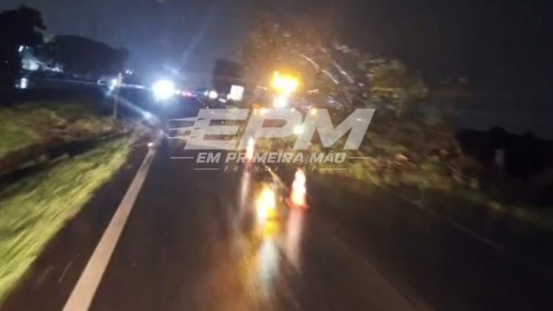 Queda de árvores após temporal causa transtornos na Rodovia Cândido Portinari