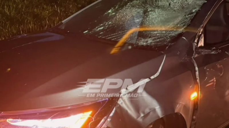 Idoso morre após ser atropelado por carro na Rodovia Cândido Portinari